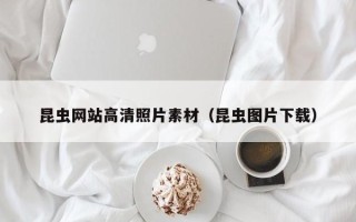 佛山昆虫网站高清照片素材（昆虫图片下载）